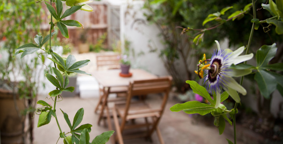 6 Island Wall Holiday Cottage in Whitstable